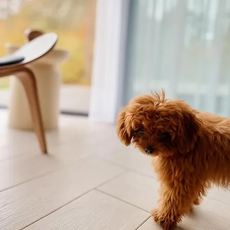 Appartement Sea And Mielno - The Hide No2 *